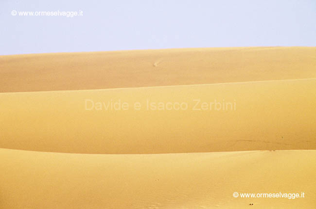 Deserto 37-22-08